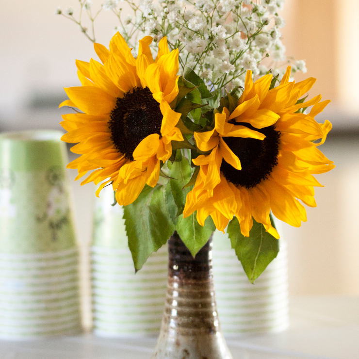 Bride to bee sunflower bridal shower floral arrangement with sunflowers and babys breath flowers in a vase on a refreshments table.